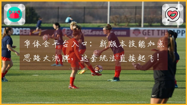 华体会平台入口：新版本技能加点思路大洗牌，这套玩法直接起飞！