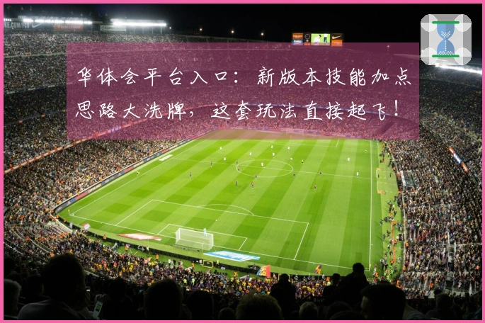 华体会平台入口：新版本技能加点思路大洗牌，这套玩法直接起飞！